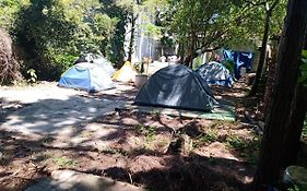 Camping Novas Palmeiras