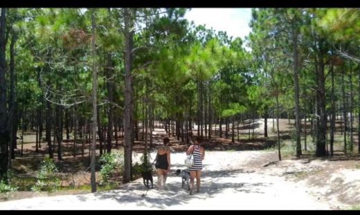 Camping Novas Palmeiras Florianopolis Exterior foto